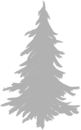 Silhouette eines Tannenbaums