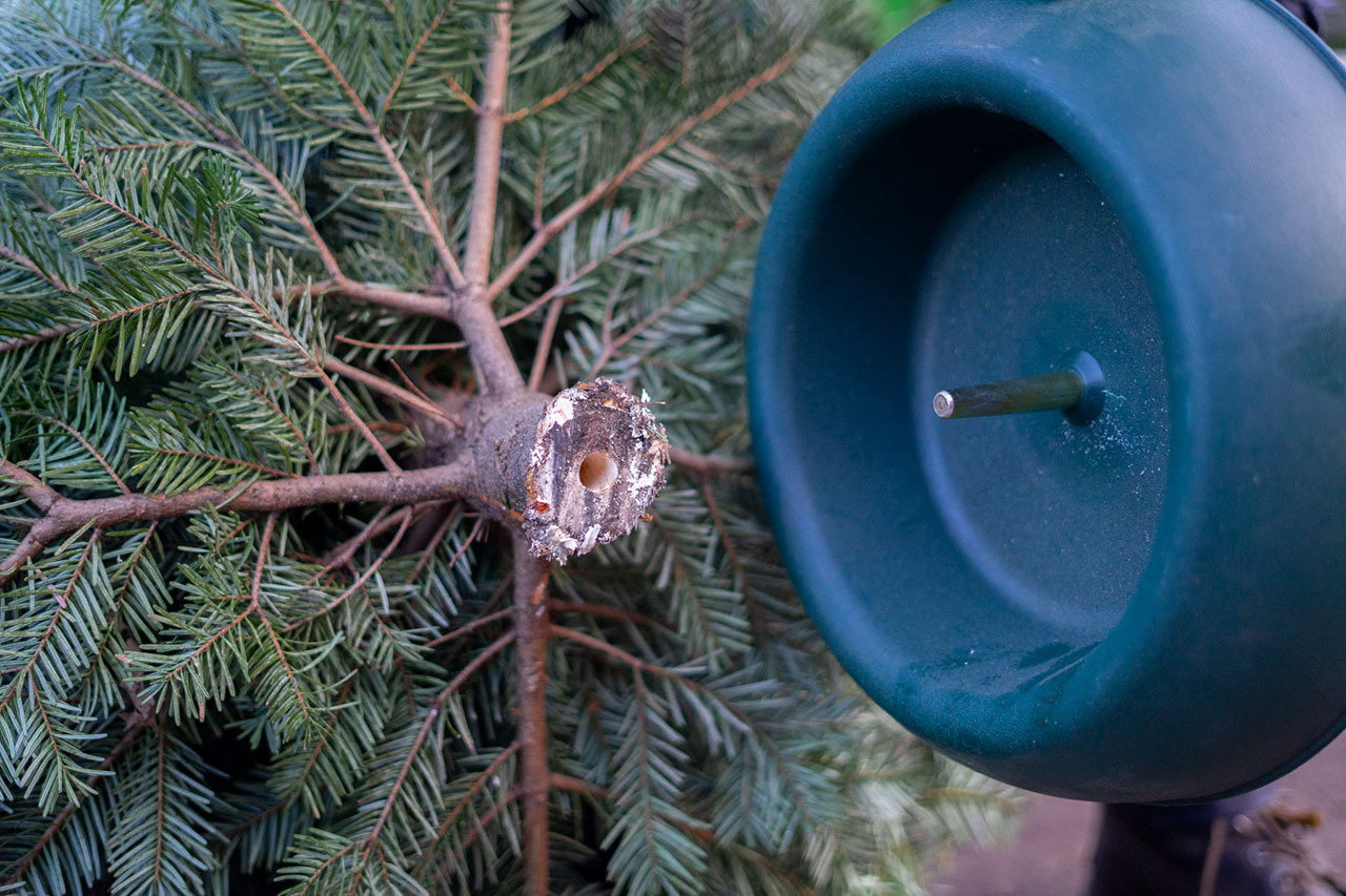 Easyfix Baumständer