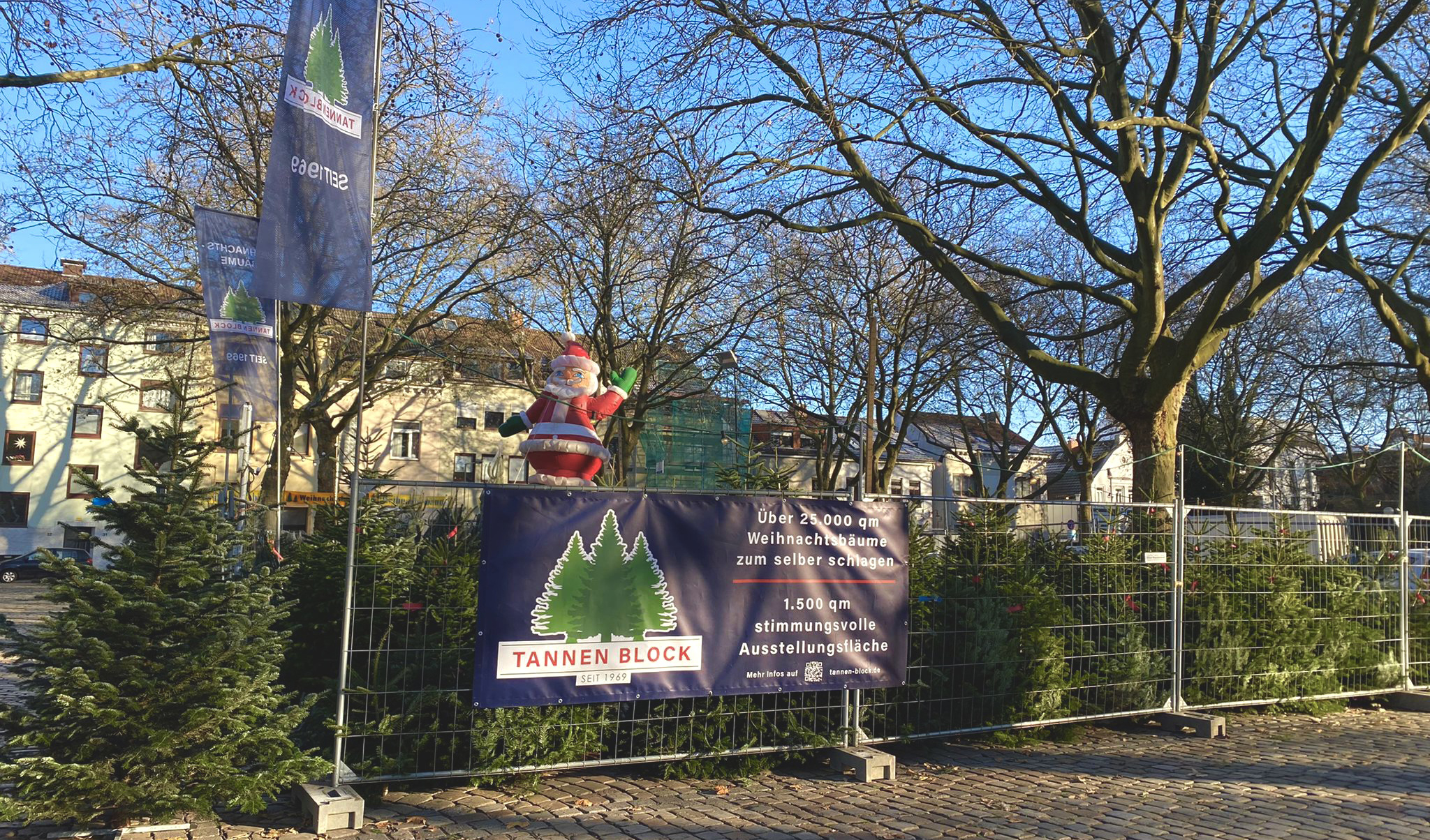 Tannenbäume auf dem Feld